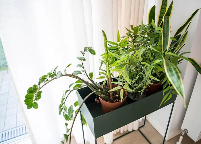 The By Daniel&jacob's Apartman *