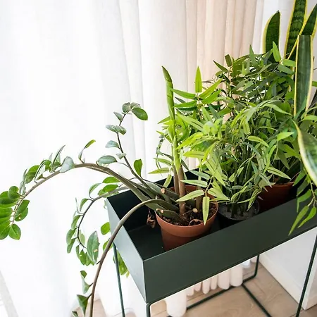 The By Daniel&jacob's Apartamento *